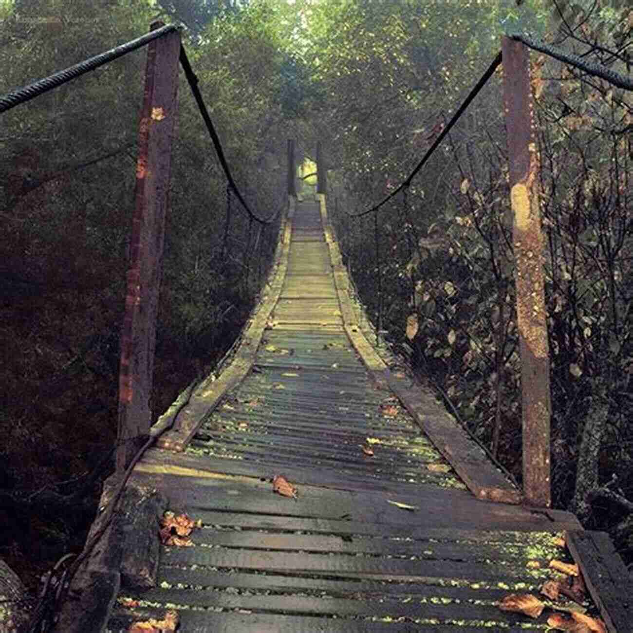 A Mysterious Bridge Covered In Shadows Bridge: A Shade Short Story