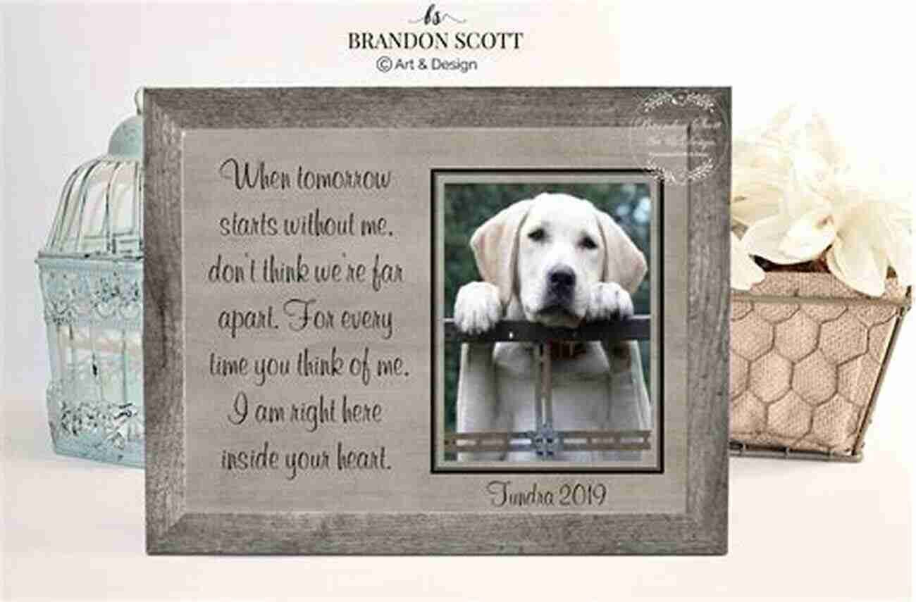 A Personalized Tribute To Your Beloved Pet How To ROAR: Pet Loss Grief Recovery