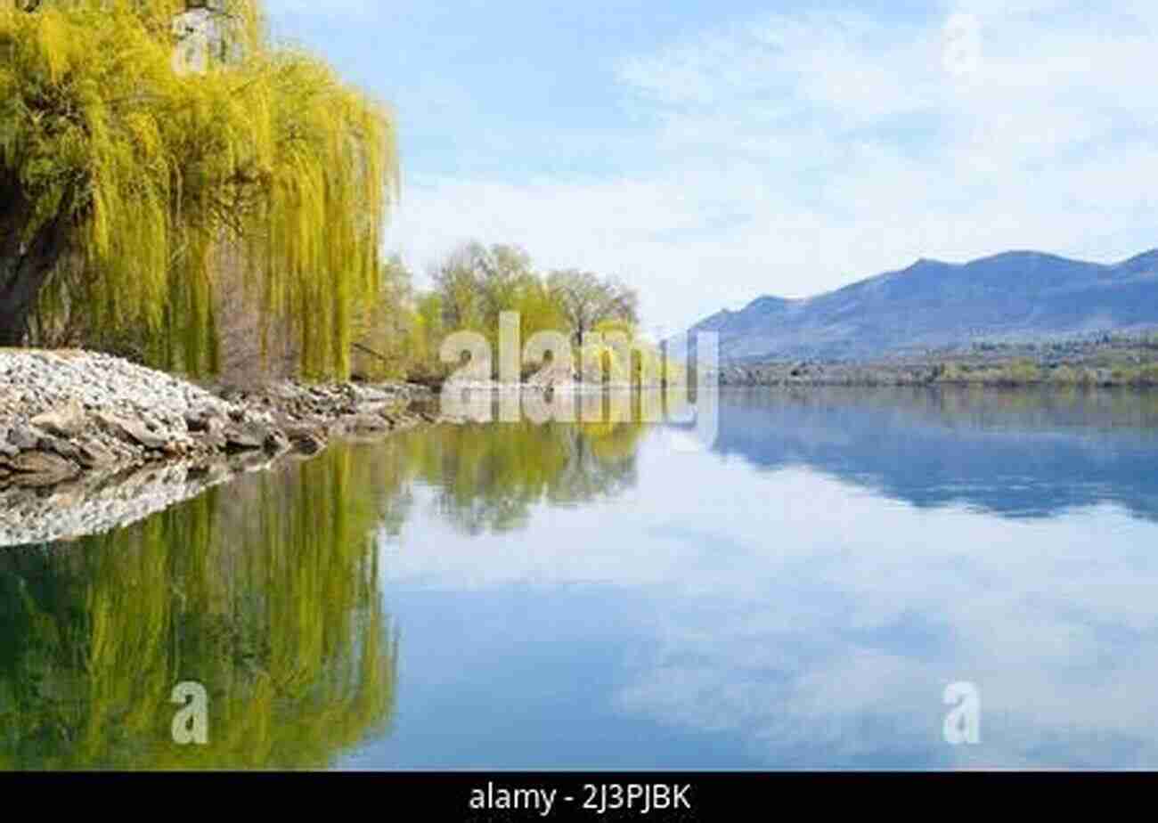 A Beautiful Willow Tree Hanging Over A Calm Lake During Sunset Like The Willow Tree (Dear America)