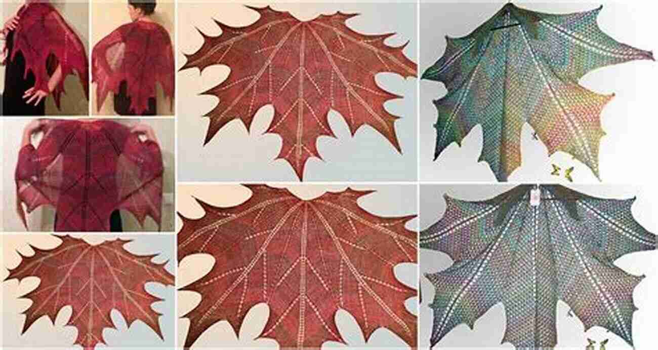 A Mesmerizing Shawl With Leaf Inspired Motifs Knitting Plant Anatomy 2: Shawl Knitting Patterns Inspired By The Work Of Nehemiah Grew Part Two