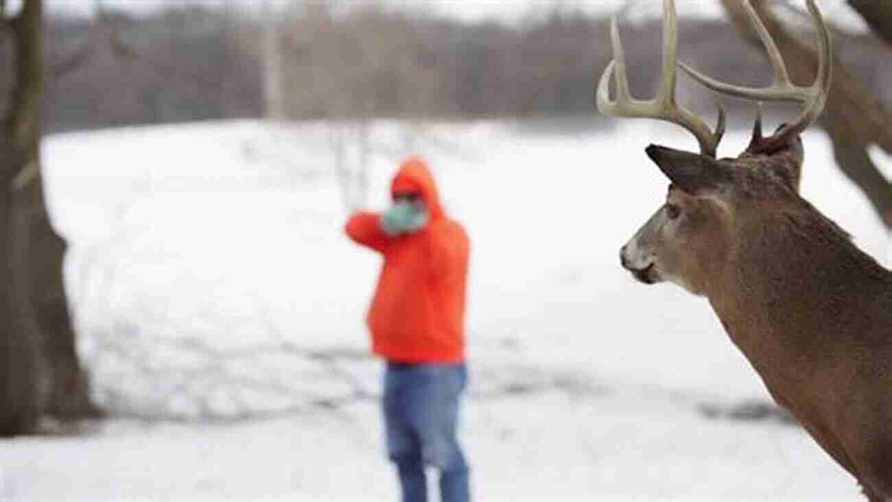 A Skilled Bow Hunter Taking Aim At A Magnificent Whitetail Bow Hunting Whitetails Charles Yale Harrison