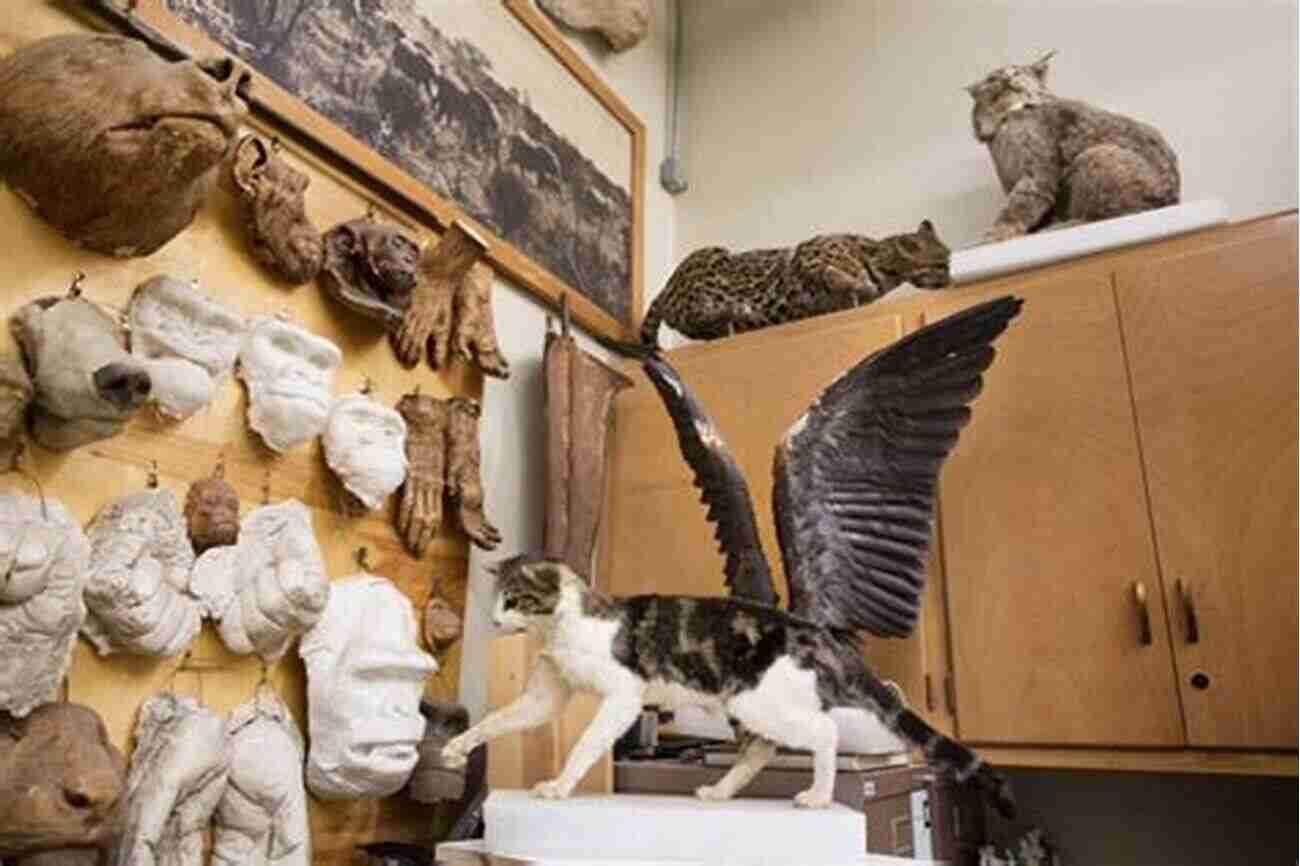 A Taxidermy Exhibit In A Natural History Museum Showcasing Various Animals From Different Ecosystems The Breathless Zoo: Taxidermy And The Cultures Of Longing (Animalibus: Of Animals And Cultures 1)