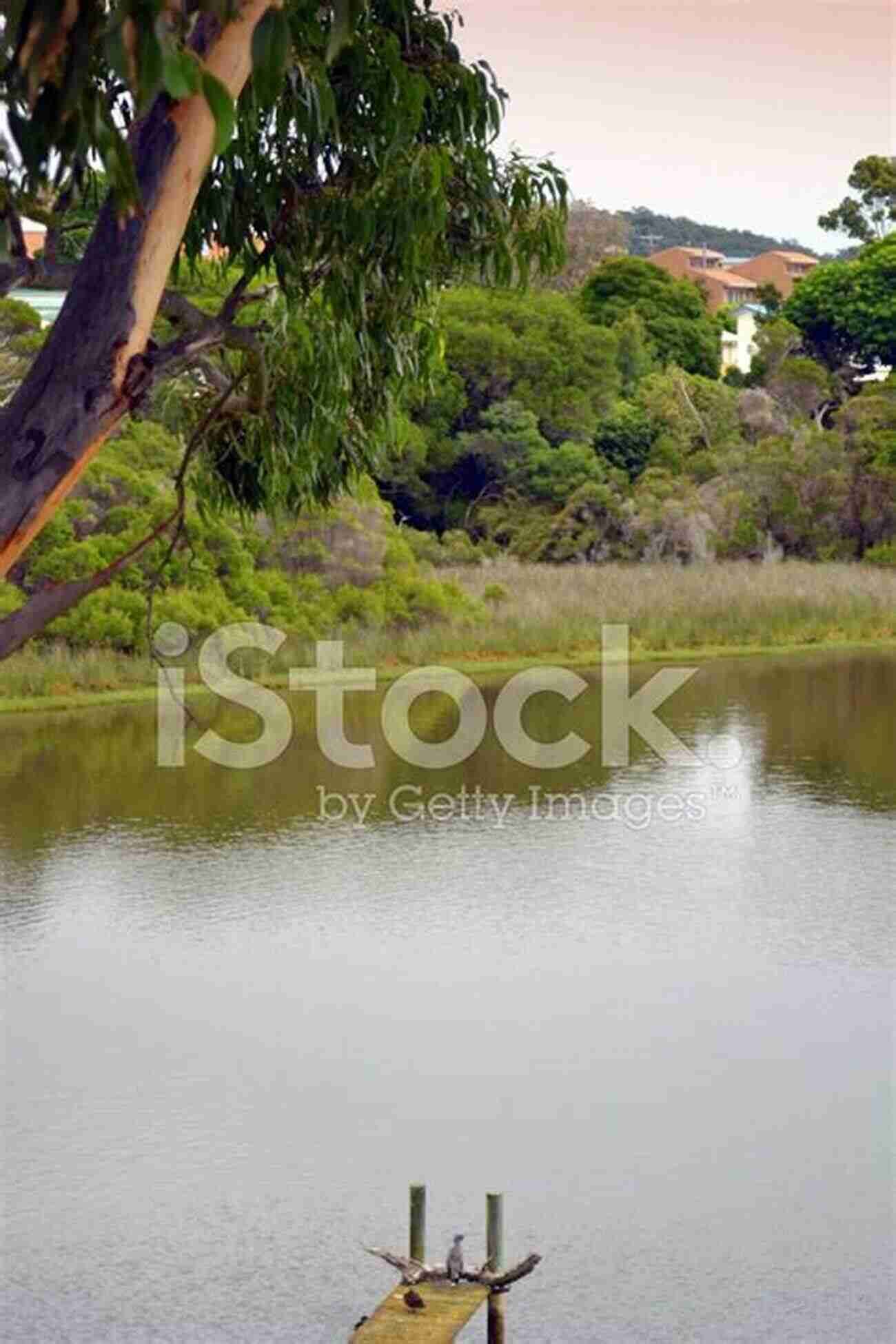 A Tranquil, Peaceful Moment By A Tranquil Lakeside The Beauty Of The Moment