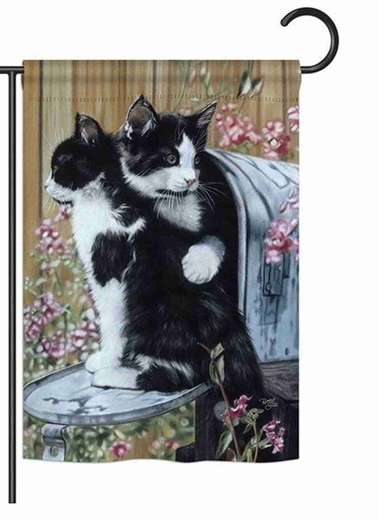 A Tuxedo Cat Sitting On A Garden Bench Surrounded By Wedding Decorations The Summer Cat (Cat Tales 3)