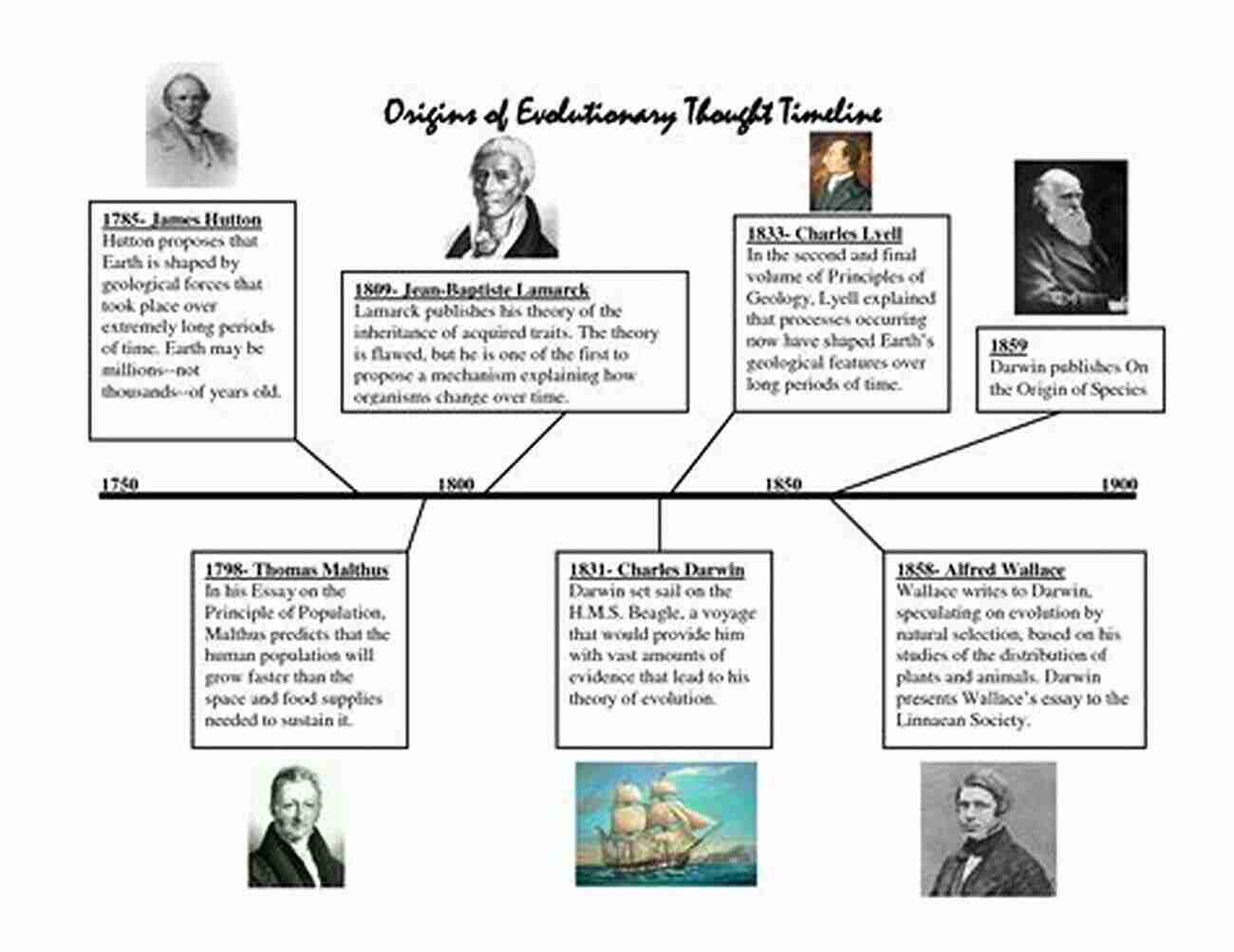 A Visual Representation Of Set Theory's Historical Evolution Labyrinth Of Thought: A History Of Set Theory And Its Role In Modern Mathematics