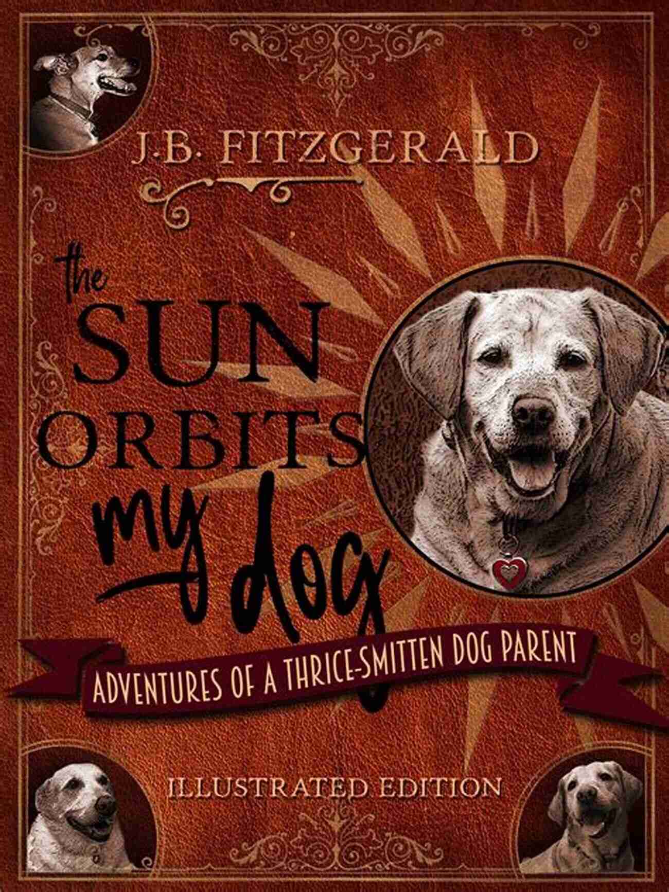 Adventures Of Thrice Smitten Dog Parent The Sun Orbits My Dog: Adventures Of A Thrice Smitten Dog Parent