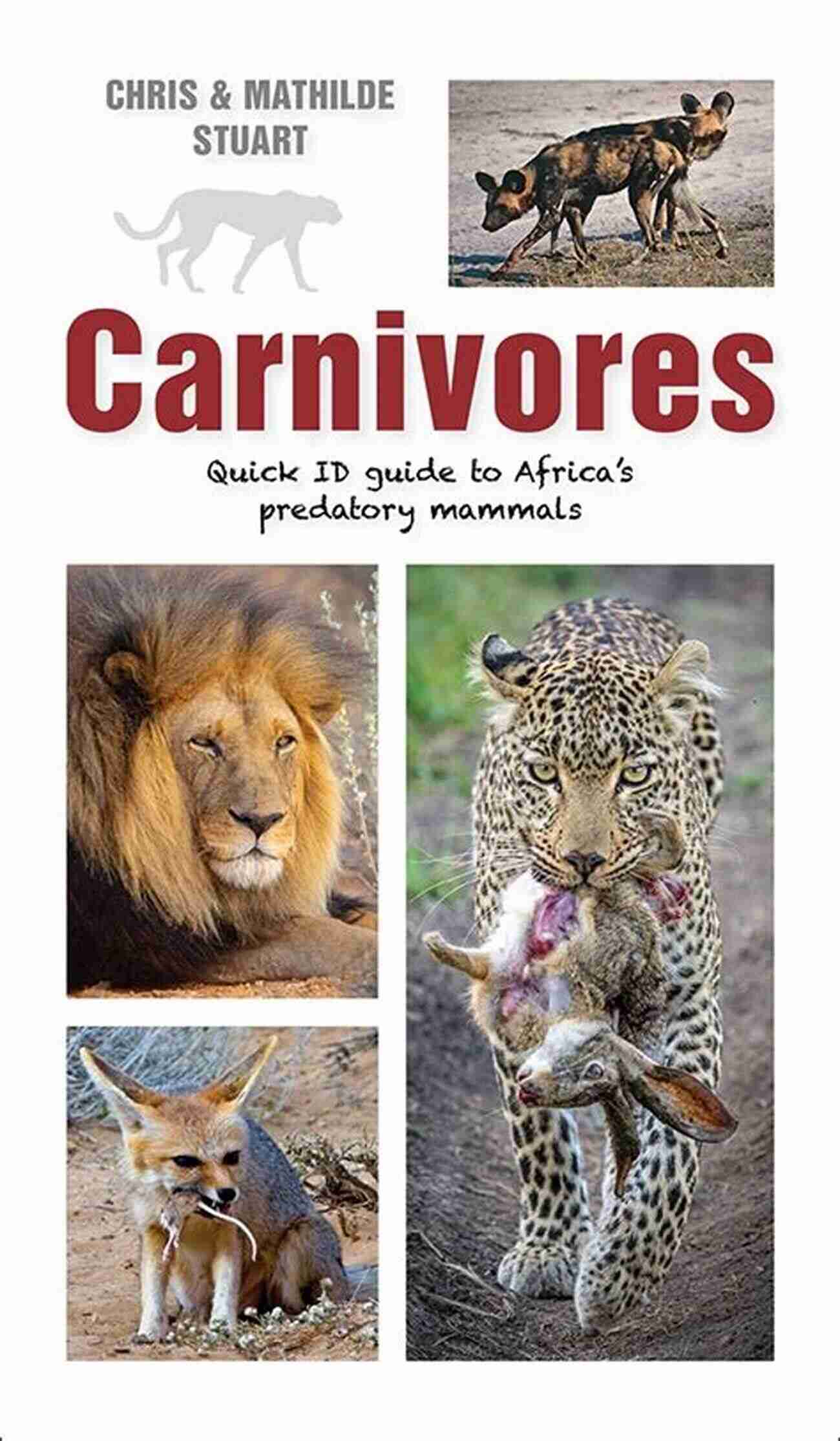 African Cheetah Carnivores: Quick ID Guide To Africa S Predatory Mammals