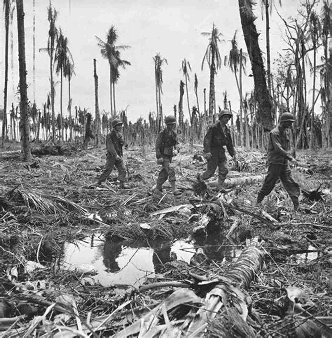 Allied Forces During Battle For New Guinea Weapon Of Denial: Air Power And The Battle For New Guinea Illustrated Edition