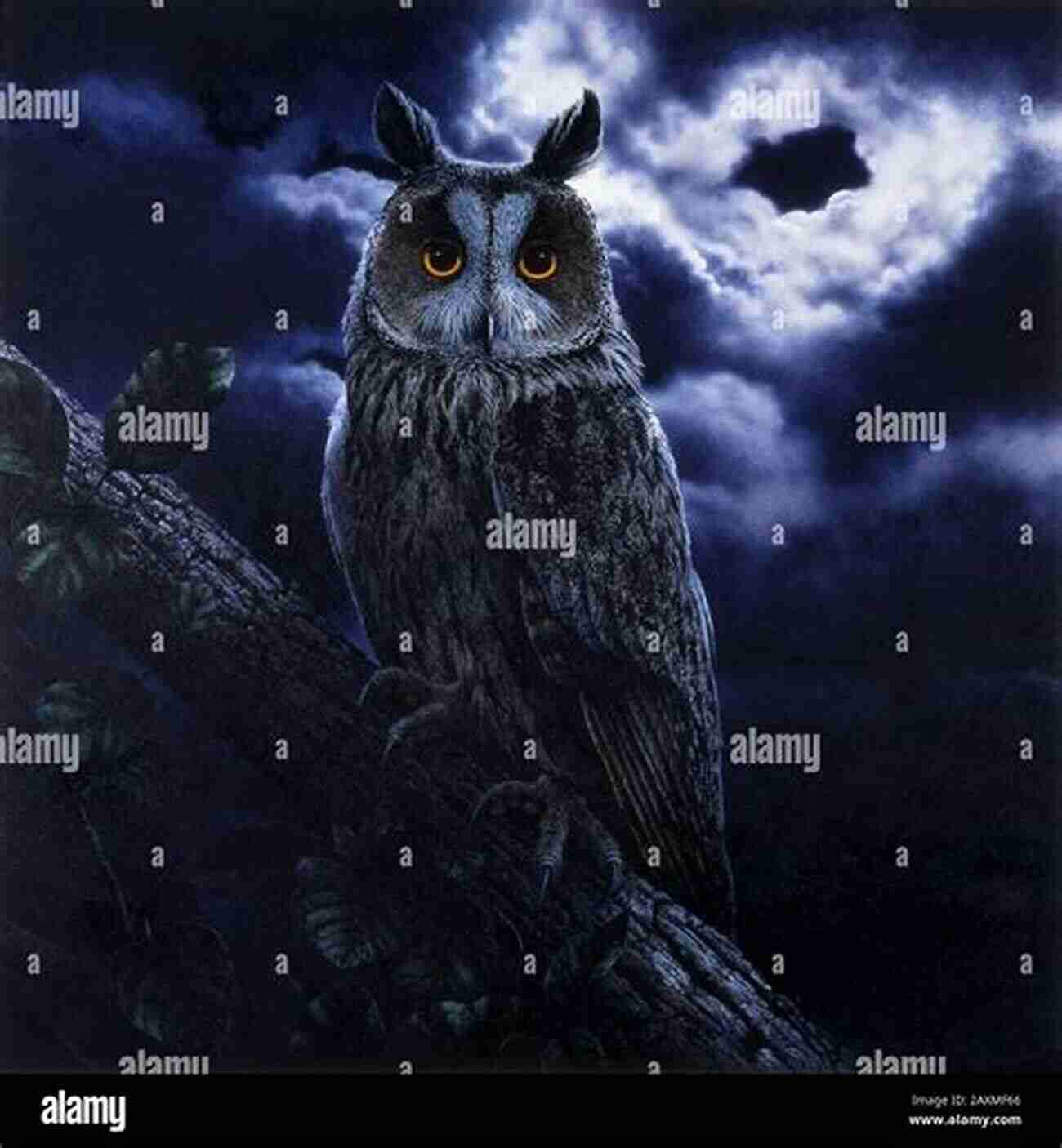 An Adorable Owl Perched On A Branch In The Moonlight Owl: Fun Facts On Birds For Kids #11