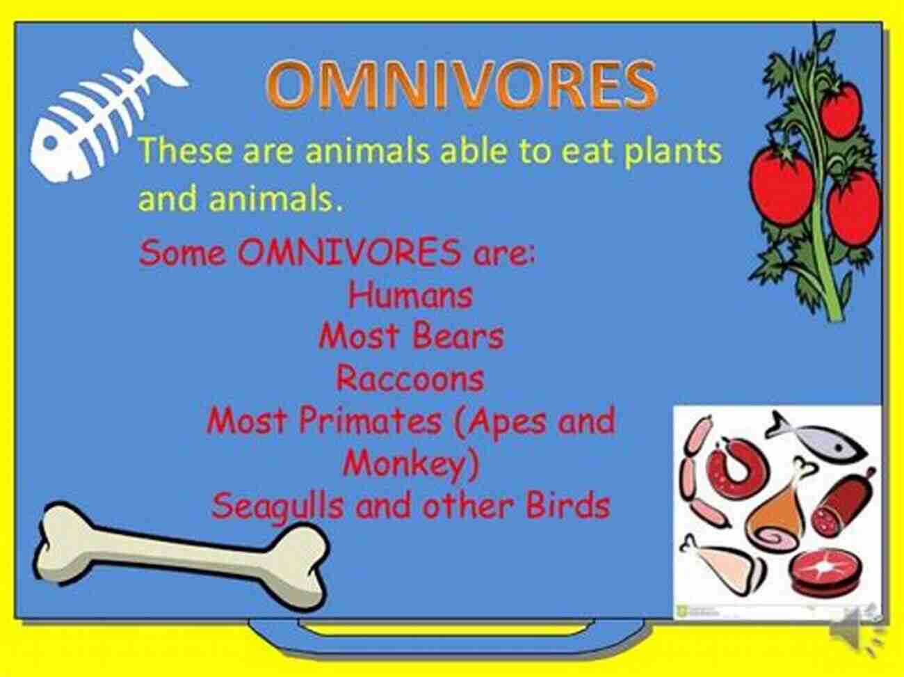 Avocado Chocolate Mousse I Am What I Eat : Classifying Organisms Based On The Food They Eat Of Science For Kids 3rd Grade Children S Biology