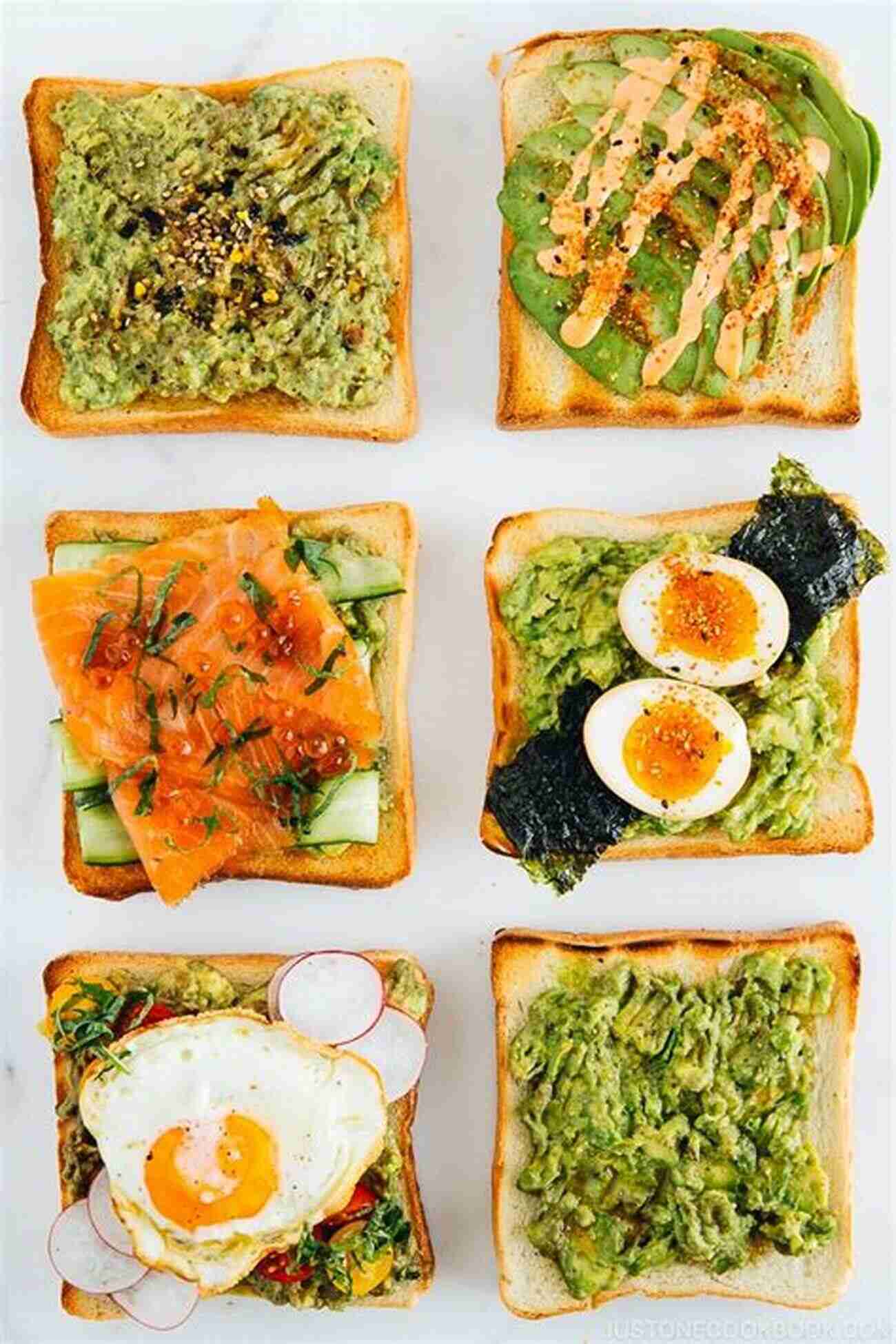 Avocado Toast With A Twist I Am What I Eat : Classifying Organisms Based On The Food They Eat Of Science For Kids 3rd Grade Children S Biology