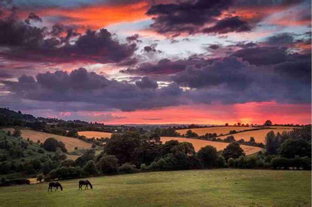 Beautiful Irish Countryside Landscape During Sunset A Survivor S Guide To Living In Ireland 2021 Edition