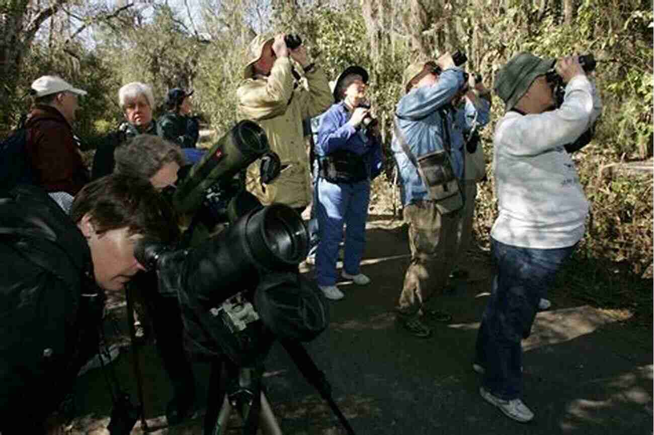 Birdwatchers Enjoying Their Time During The Big Manhattan Year A Big Manhattan Year: Tales Of Competitive Birding