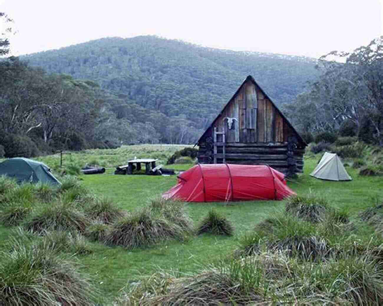 Camping In Alpine National Park Camping Around Victoria S High Country (Explore Australia)