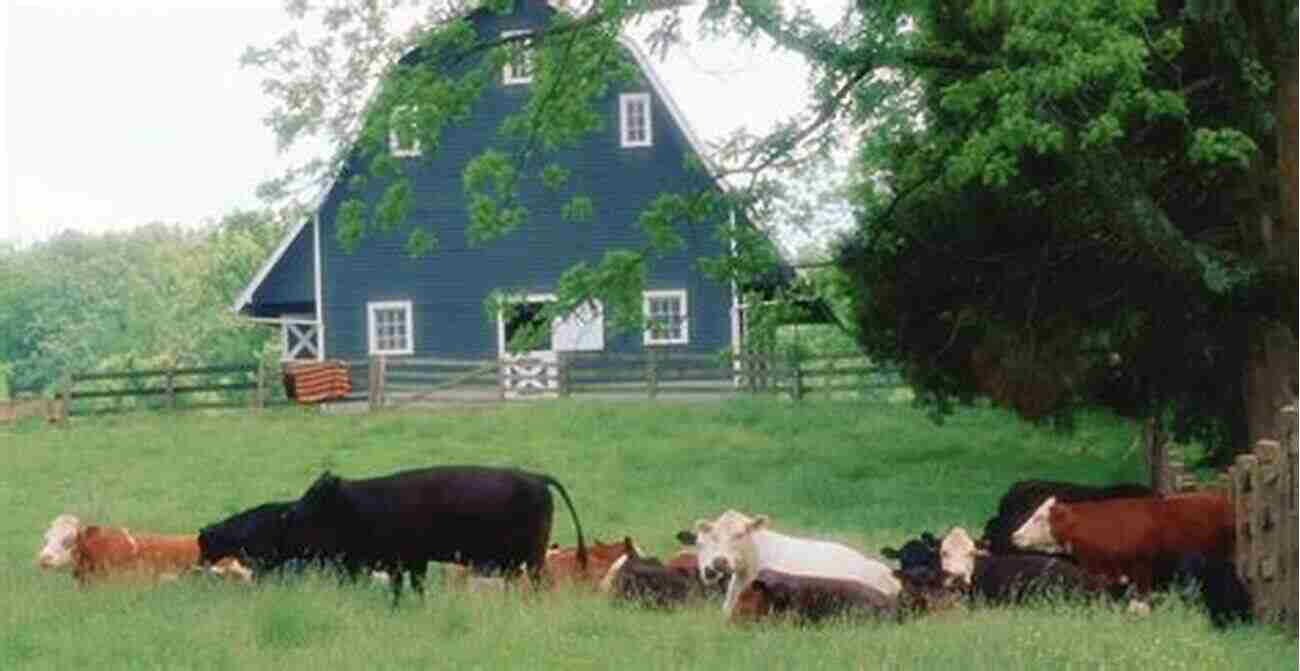 Cattle Grazing In Carroll County Farming In Carroll County (Images Of America (Arcadia Publishing))