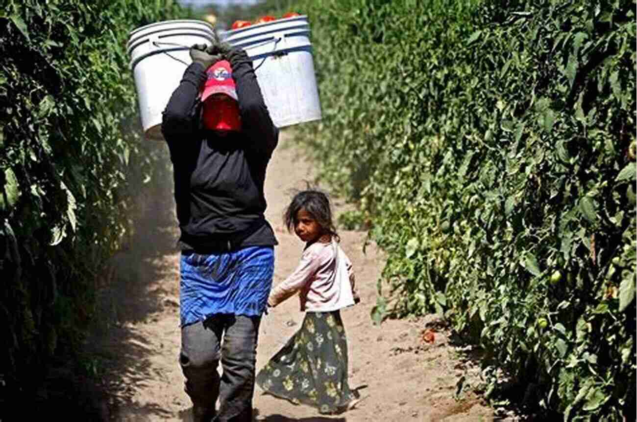 Children Harvesting Crops In A Lush Green Field Where Our Food Comes From Children S Agriculture