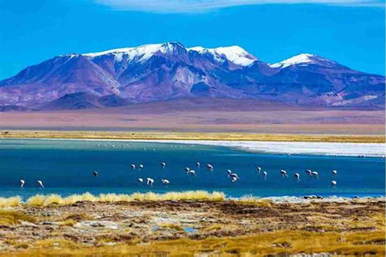 Chile North: Discover The Untamed Beauty Of Atacama Desert And Beyond Tour The Cruise Ports: Chile Part 2 The North Of Chile: Senior Friendly (Touring The Cruise Ports)