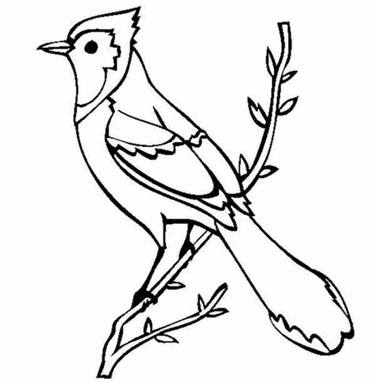 Coloring Page Of A Beautiful Blue Jay Bird How Many Birds There Are: Birds Counting For Kids Toddlers Preschool Kindergarten With Coloring Pages Images Learn The Numbers From 0 To 9 ( Gift For Birthday Christmas )