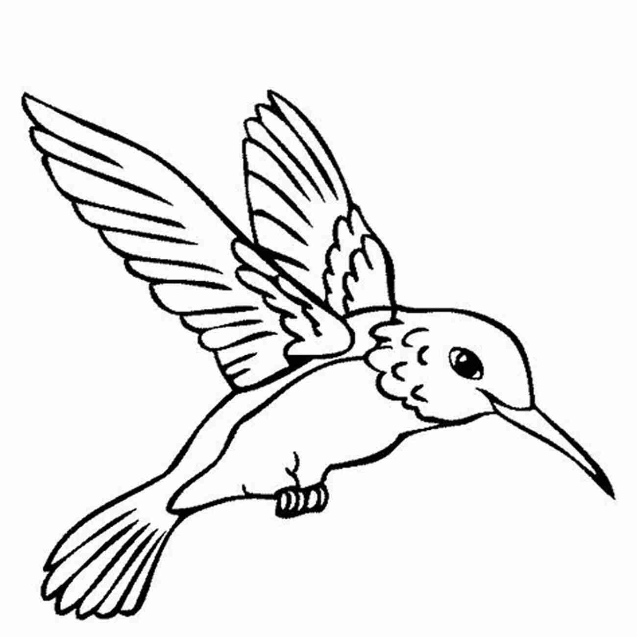 Coloring Page Of A Cute Hummingbird How Many Birds There Are: Birds Counting For Kids Toddlers Preschool Kindergarten With Coloring Pages Images Learn The Numbers From 0 To 9 ( Gift For Birthday Christmas )