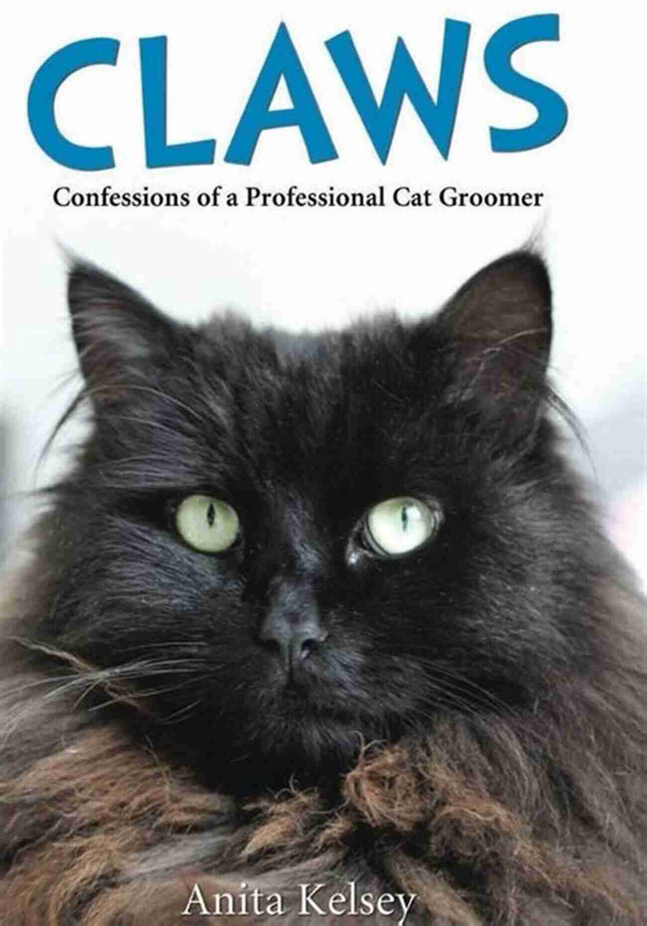 Confessions Of Cat Groomer Claws Confessions Of A Professional Cat Groomer: Confessions Of A Cat Groomer