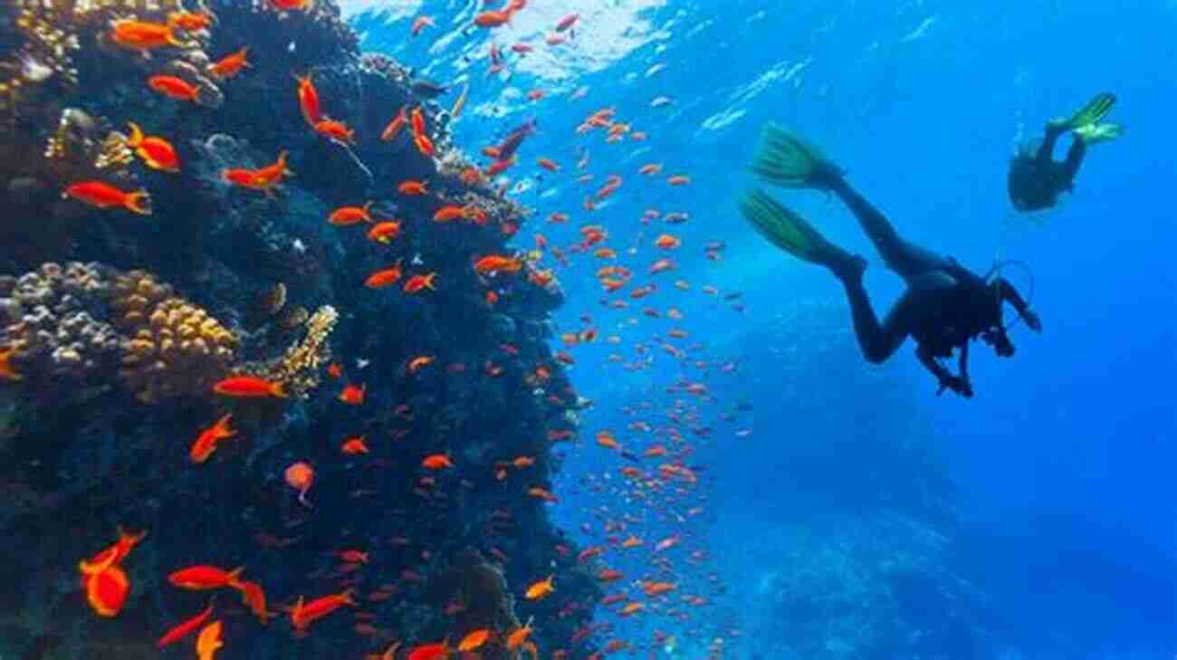 Divers Exploring Coral Reef Underwater Eden: Saving The Last Coral Wilderness On Earth