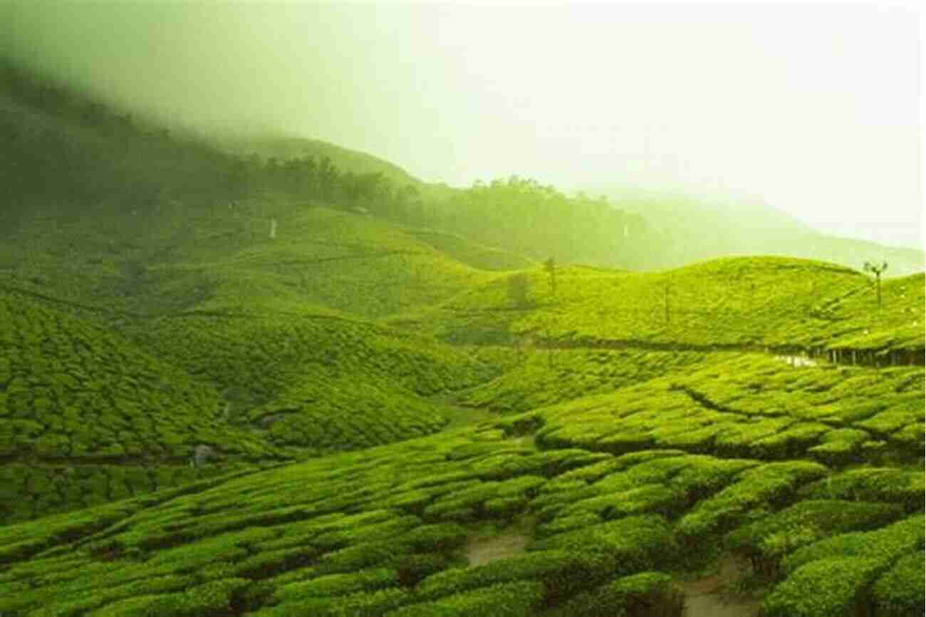 Diverse Landscapes Of India Geography Of India Derek Shupert