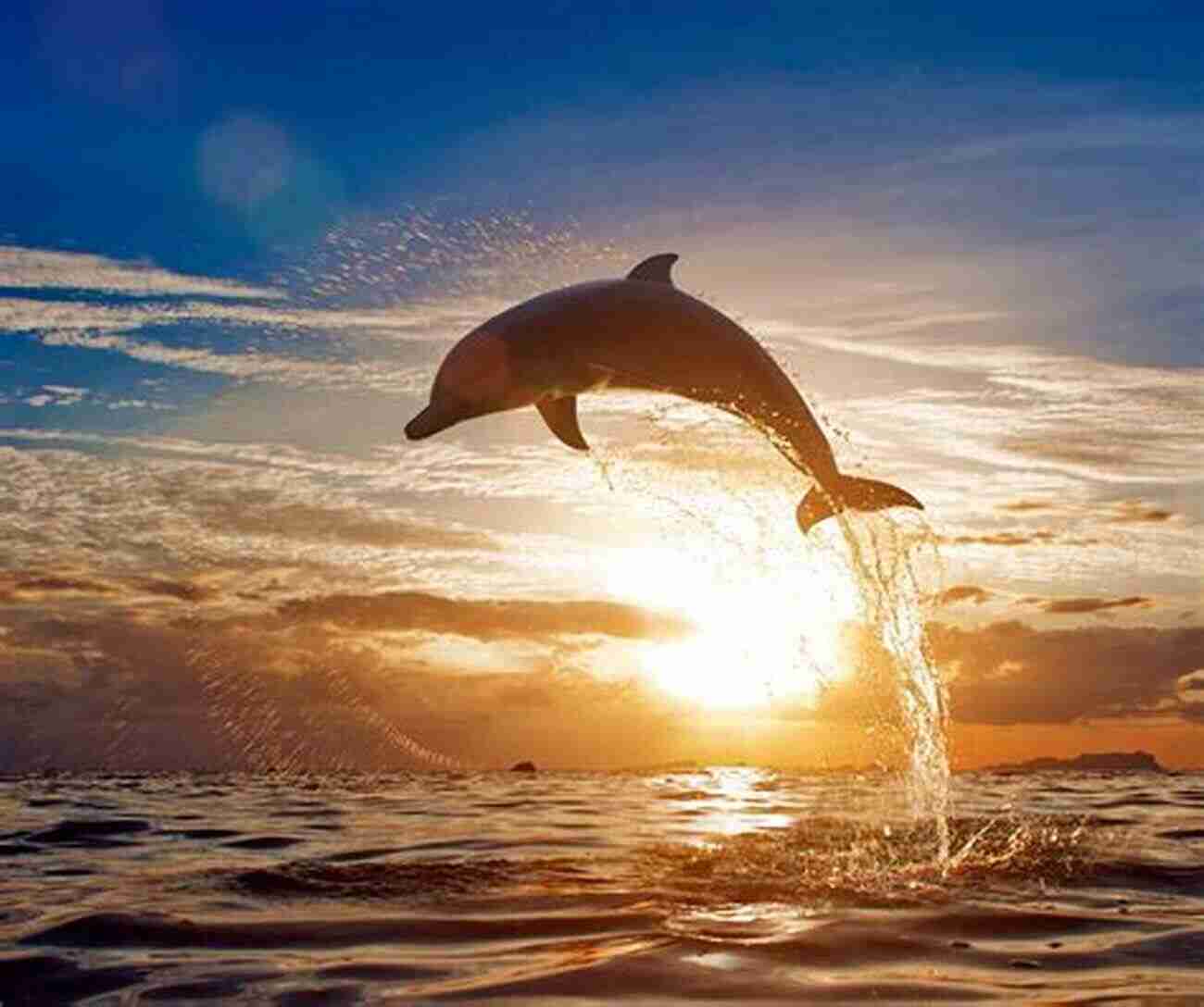 Dolphin Leaping Out Of The Water Displaying Its Superb Physical Abilities See The Animals Of The World Sense Sensation For Kids