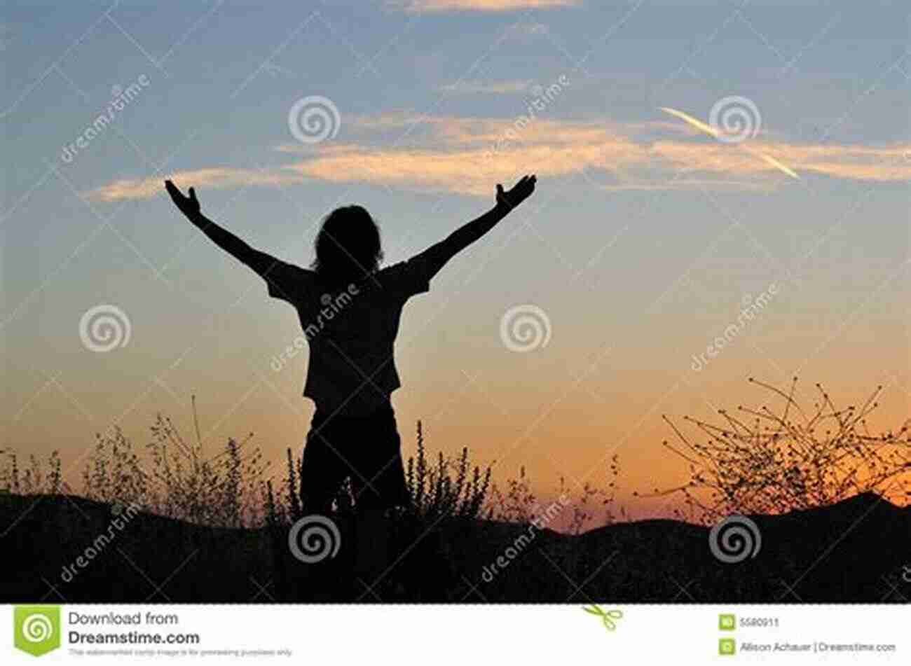 Emily Standing Triumphantly, Arms Upraised Against A Background Of Open Fields The Girl Who Lived Behind The Fence: A Practical Guide Non Fiction Story For Teens And Young Adults