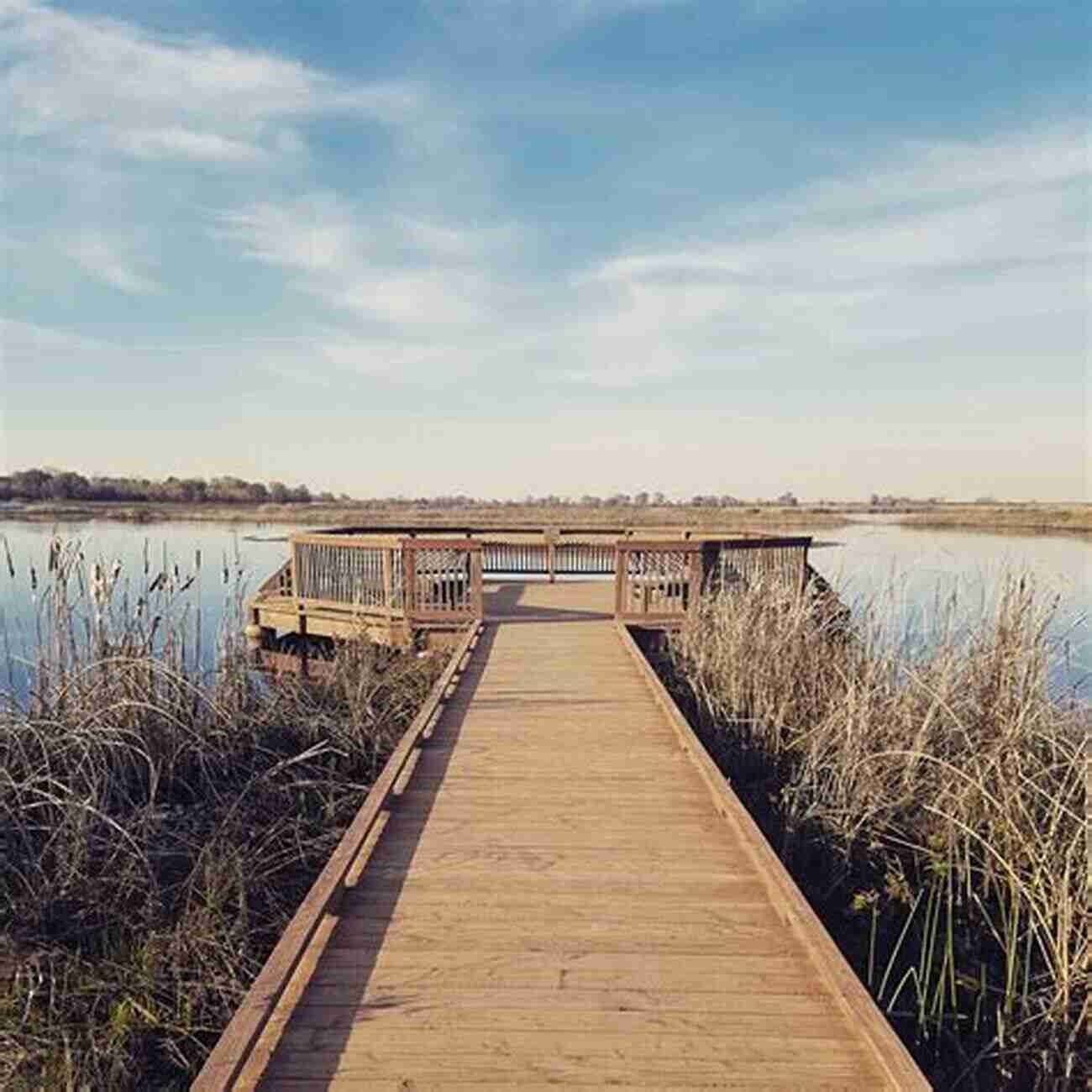 Experience The Magic Of Cosumnes River Preserve Best Easy Day Hikes Sacramento (Best Easy Day Hikes Series)