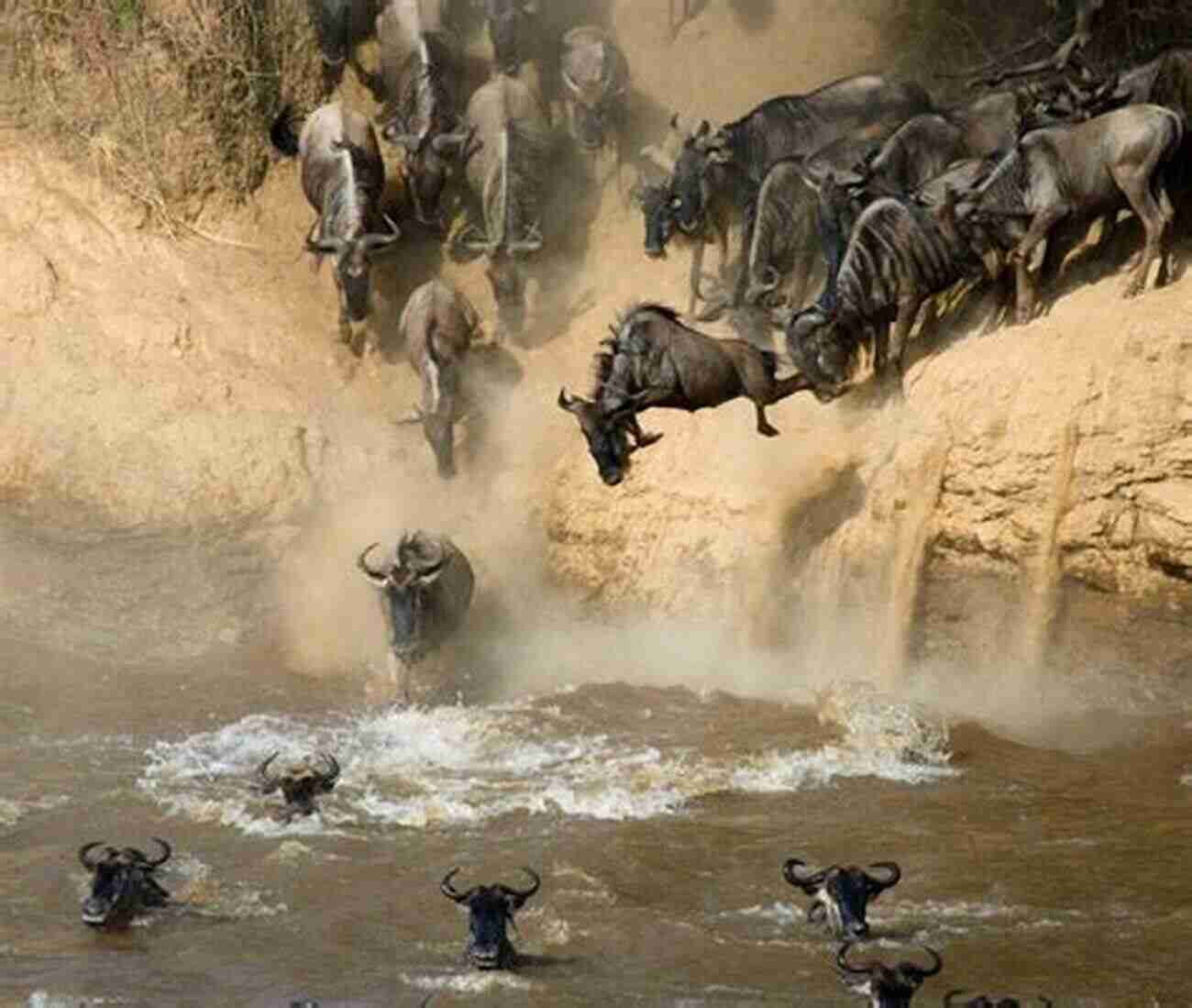 Experience The Wonders Of The Serengeti And Witness The Great Wildebeest Migration. Vacation Destinations Robert Smith