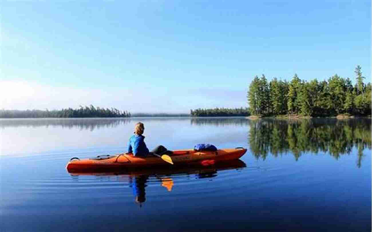 Experience Tranquility And Peace In The Vibrant Wilderness Of The Nearby Forest The Star In The Sycamore: Discovering Nature S Hidden Virtues In The Wild Nearby