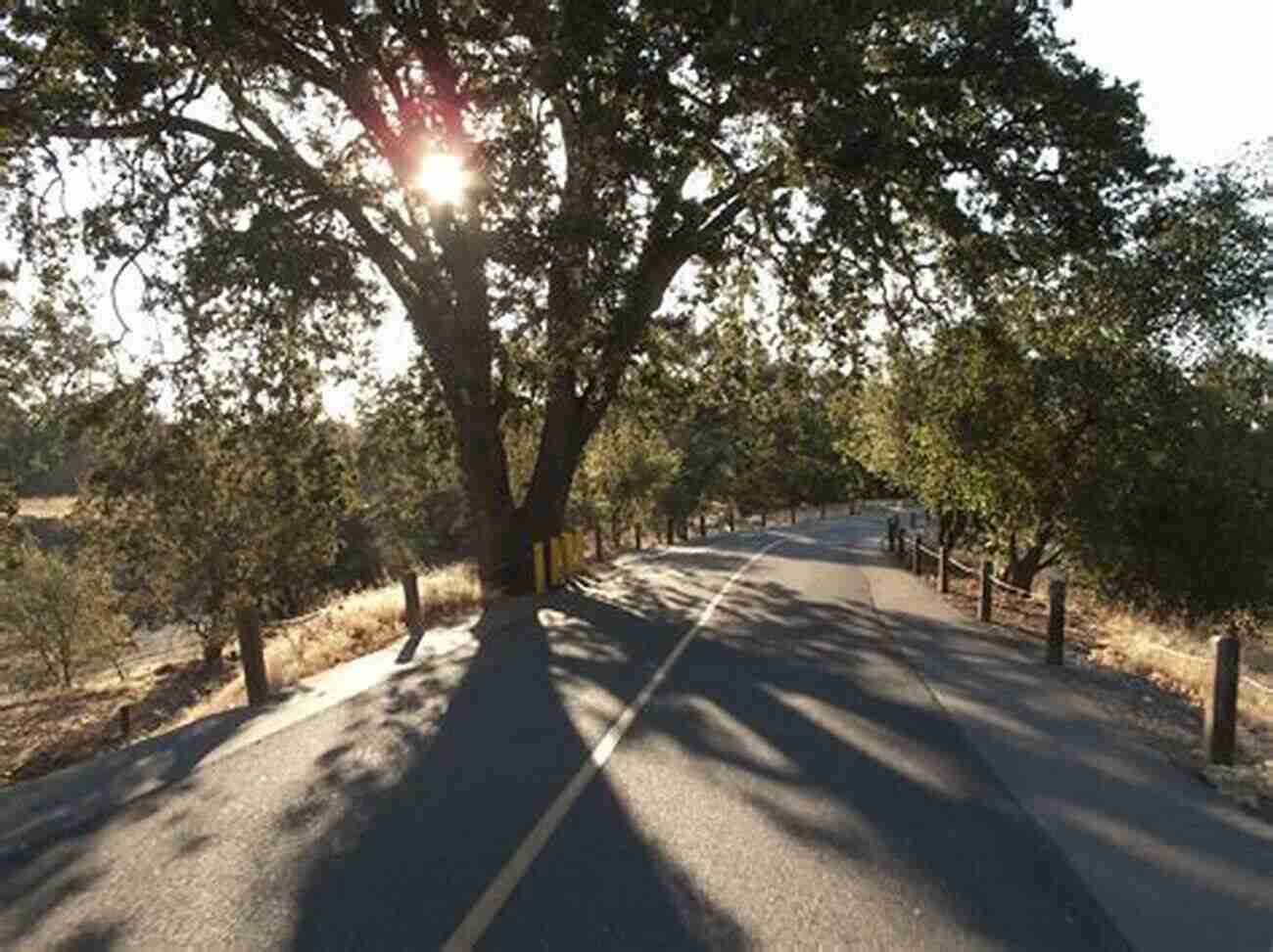 Explore The Beauty Of The American River Parkway Best Easy Day Hikes Sacramento (Best Easy Day Hikes Series)