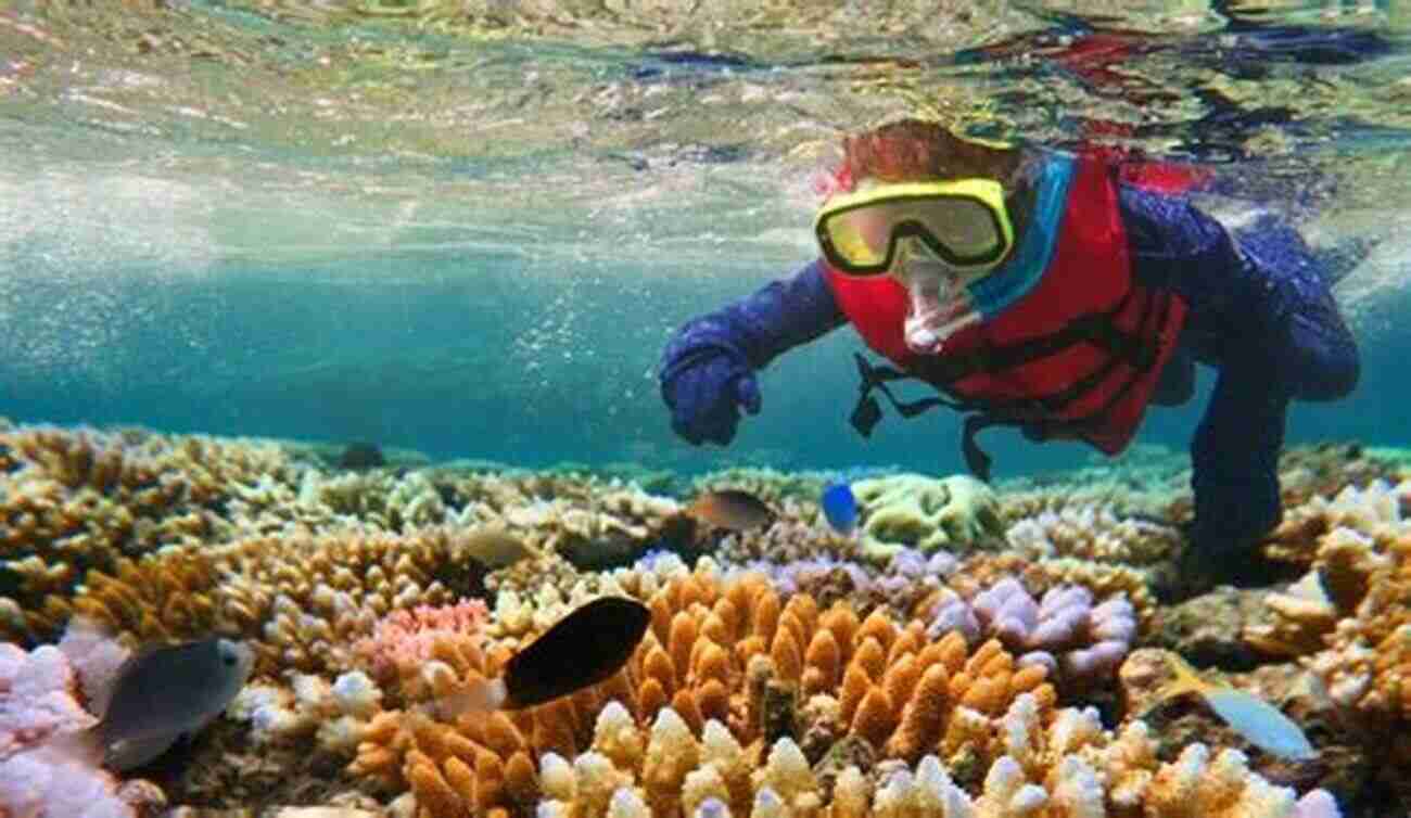 Exploring The Great Barrier Reef Jake S Golden Handbook (Aussie Series)