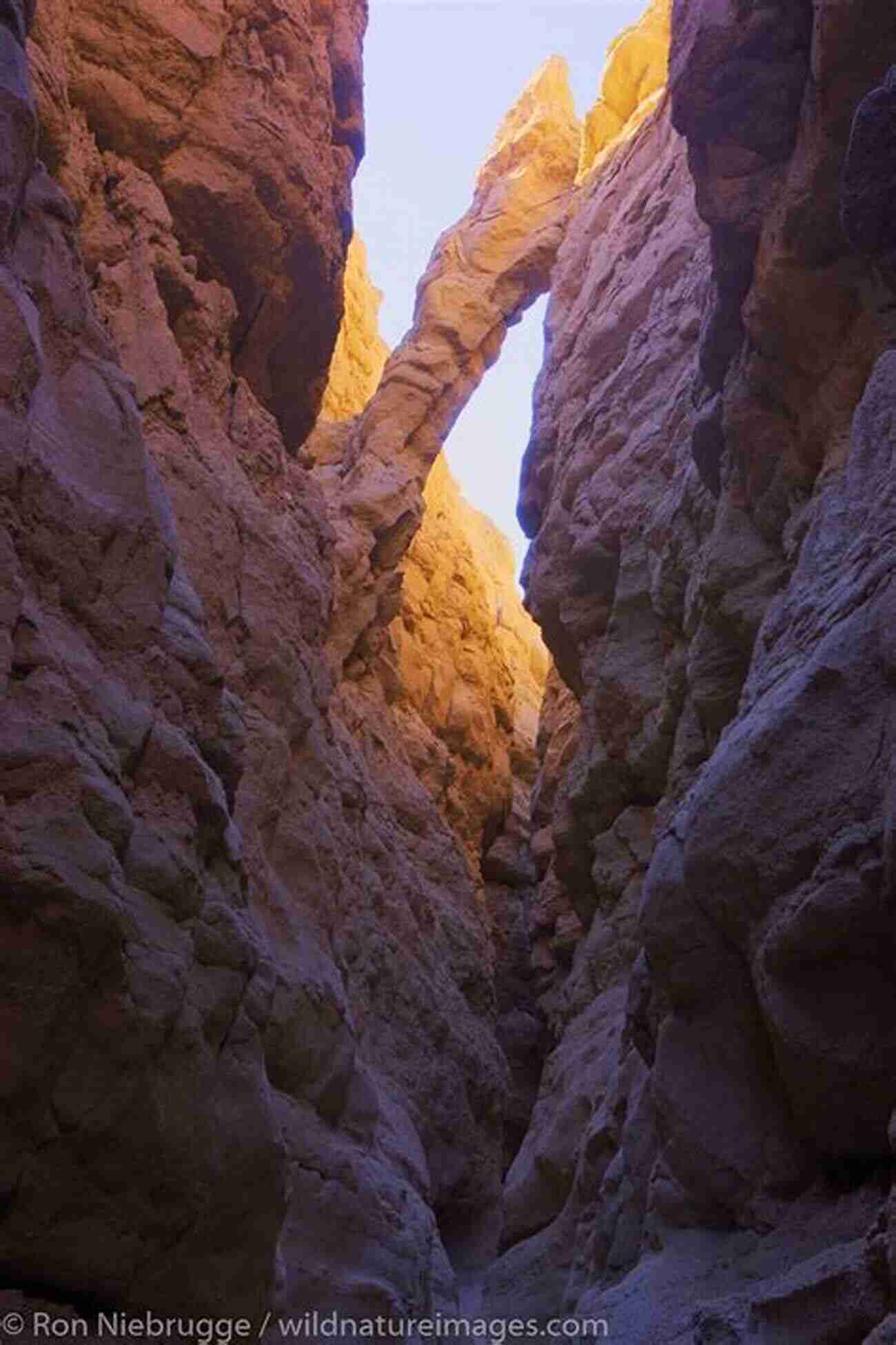 Exploring The Magnificent Slot Canyons In The Anza Borrego Desert Region Anza Borrego Desert Region: Your Complete Guide To The State Park And Adjacent Areas Of The Western Colorado Desert