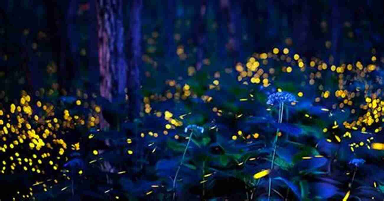 Fireflies Illuminating The Night Insects: Their Ways And Means Of Living