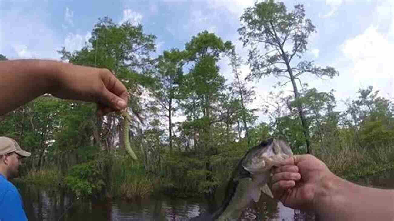 Fishing On The Neches River: An Angler's Delight Riverwoods: Exploring The Wild Neches (River Sponsored By The Meadows Center For Water And The Environment Texas State University)