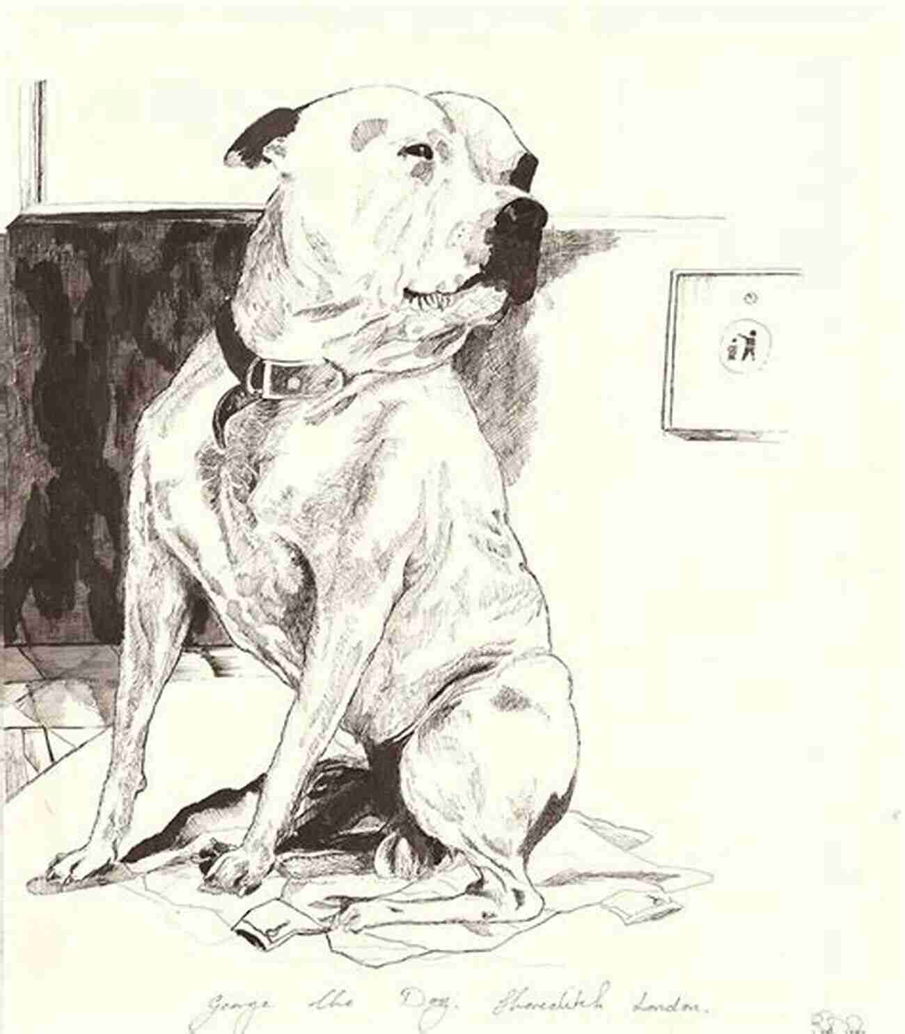 George The Dog John The Artist Paintings George The Dog John The Artist: A Rescue Story