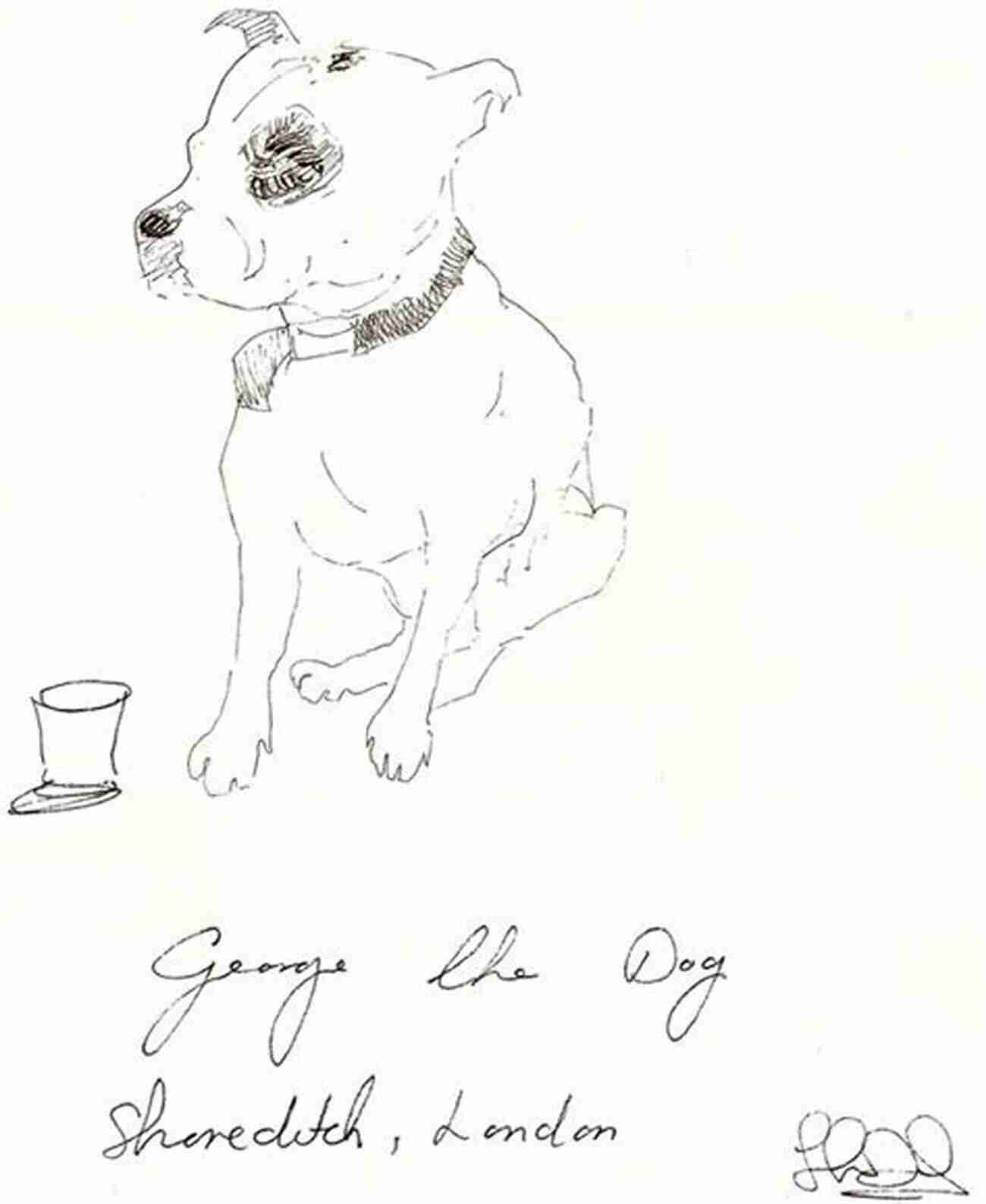 George The Dog John The Artist Signatures George The Dog John The Artist: A Rescue Story