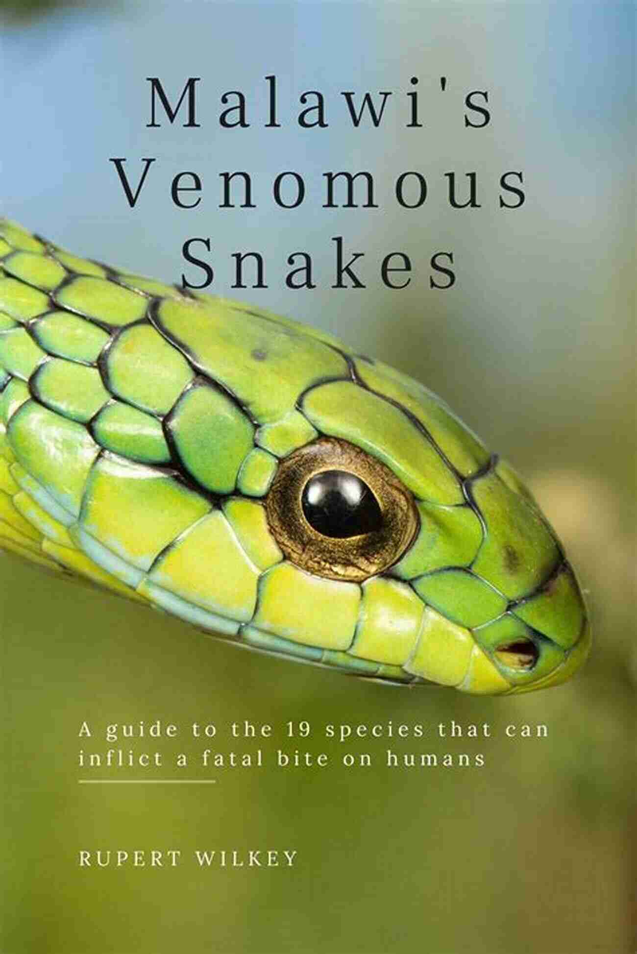 Guide To The 19 Species That Can Inflict Fatal Bite On Humans Malawi S Venomous Snakes: A Guide To The 19 Species That Can Inflict A Fatal Bite On Humans