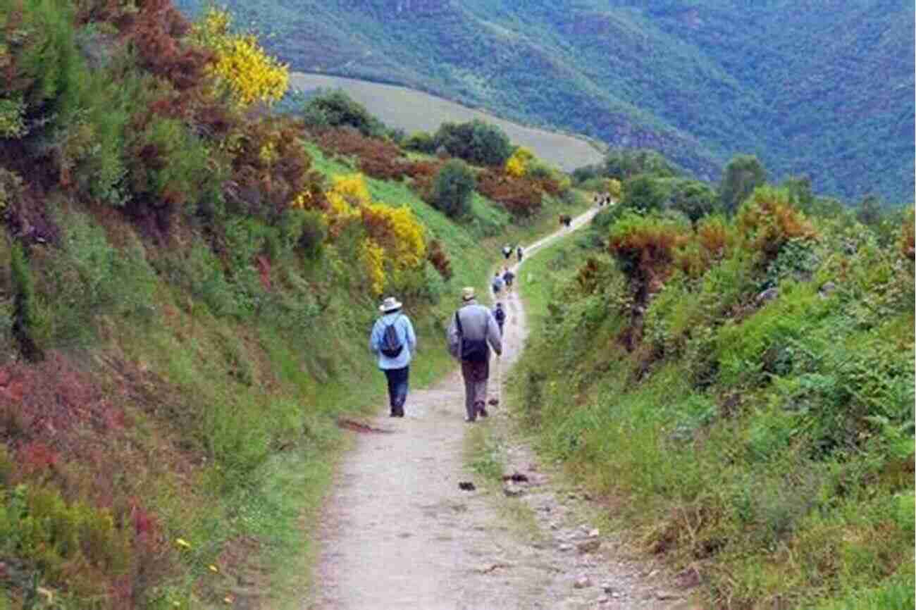 Hiking Through The Beautiful Landscapes Of Camino De Santiago The Road To Santiago: Walking The Way Of St James (Armchair Traveller)