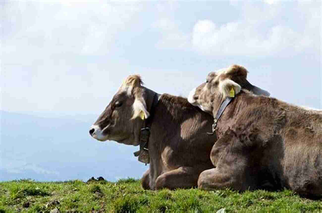 Hiking With Animals In Rural France Monsieur Le Vet: My Life With Animals In Rural France