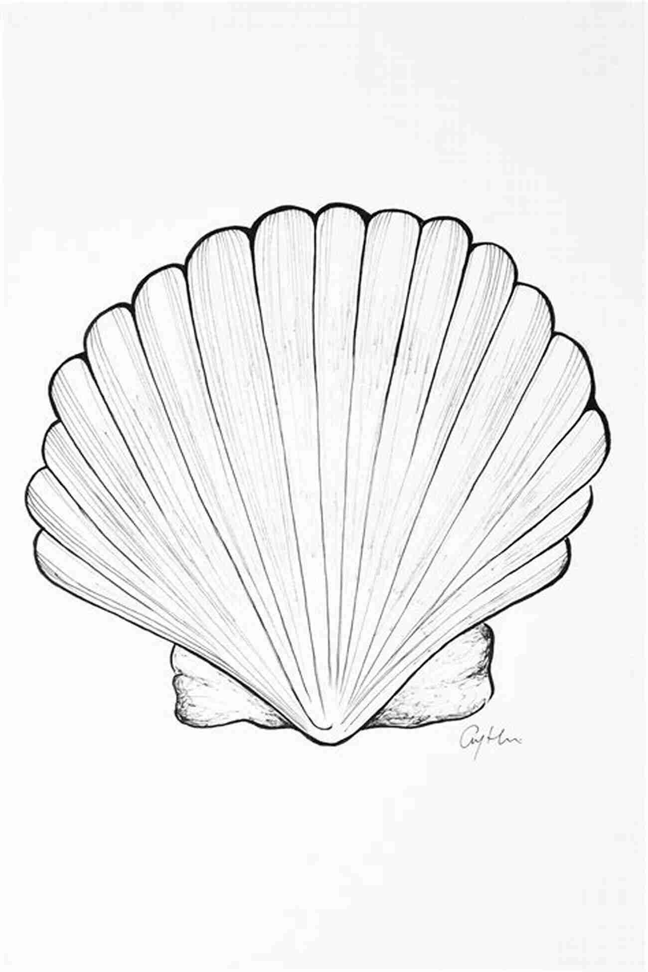 How To Draw A Curvy Sea Shell A Symbol Of The Ocean's Beauty How To Draw 20 At The Beach: Learn To Draw Step By Step Drawing Tutorial