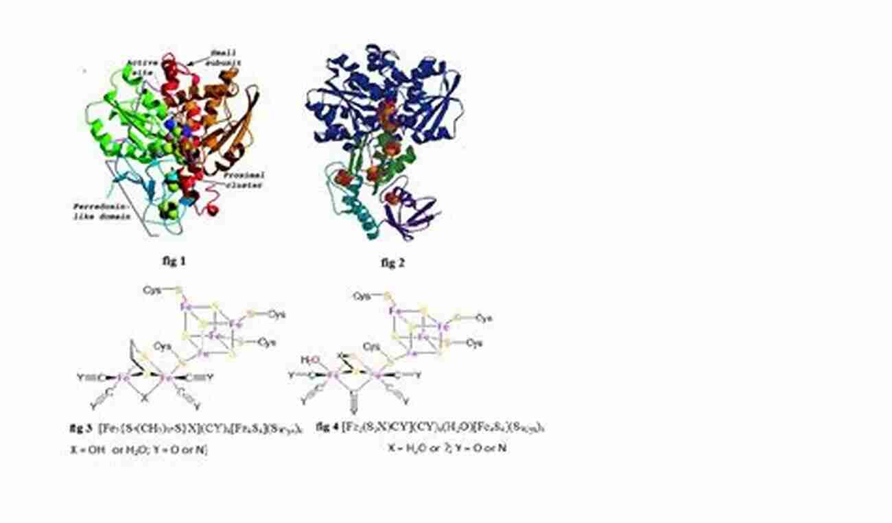 Hydrogenase Enzyme The Biological Chemistry Of Nickel (ISSN 10)