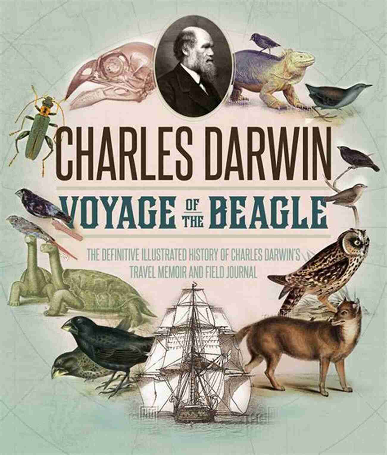 Illustration Of Charles Darwin's Beagle Voyage Study Guide For Charles Darwin S The Voyage Of The Beagle