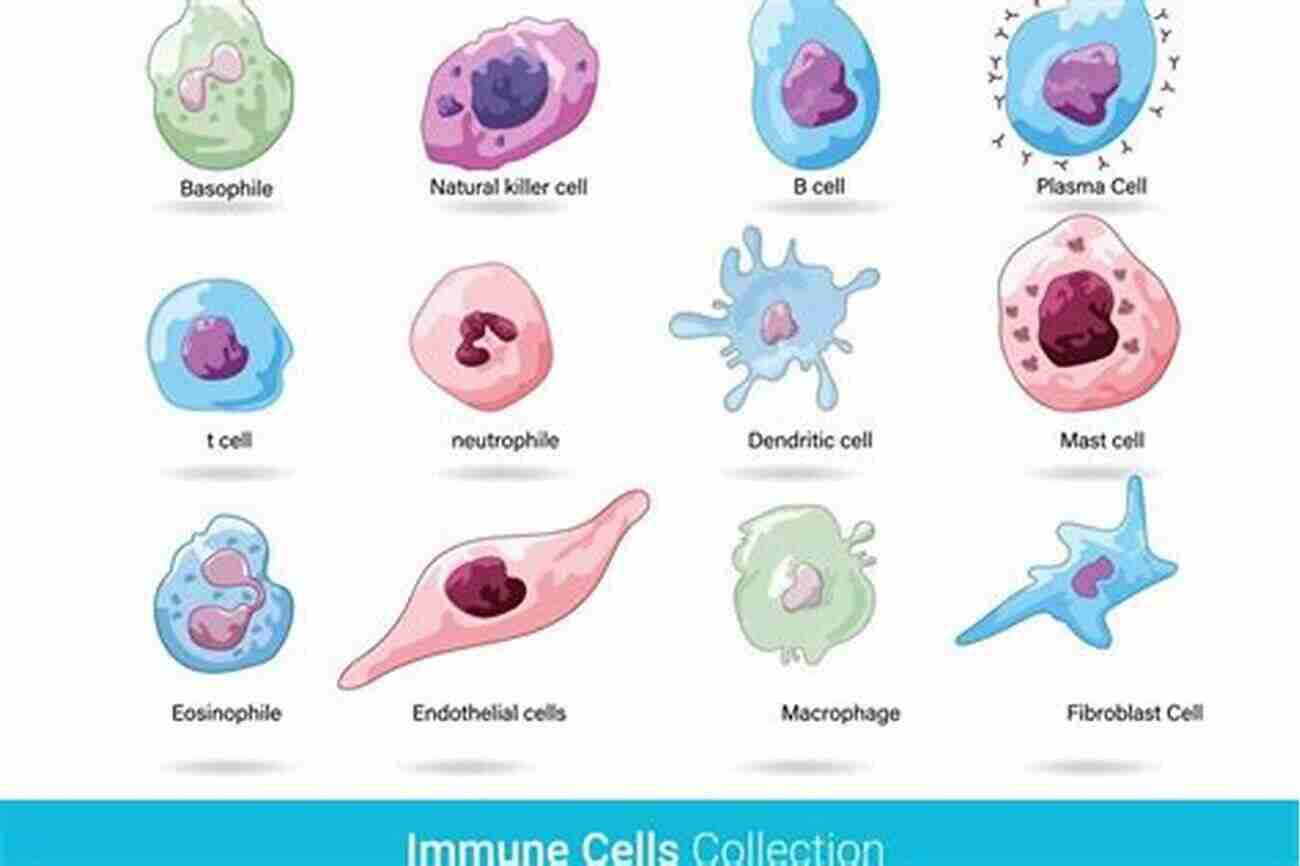 Illustration Of Different Immune Cells Kuby Immunology Sharon Stranford