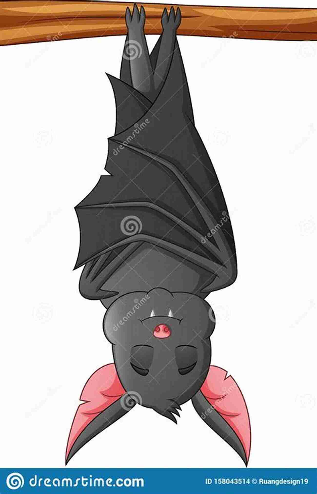 Illustration Of A Bat Trying To Sleep Hanging Upside Down THE BAT WHO LOST HER HAT: Children S Picture About Bats (Baby Bedtime Stories About Bats For Baby Preschool Readers About Becca The Bat Who Lost Her Hat )