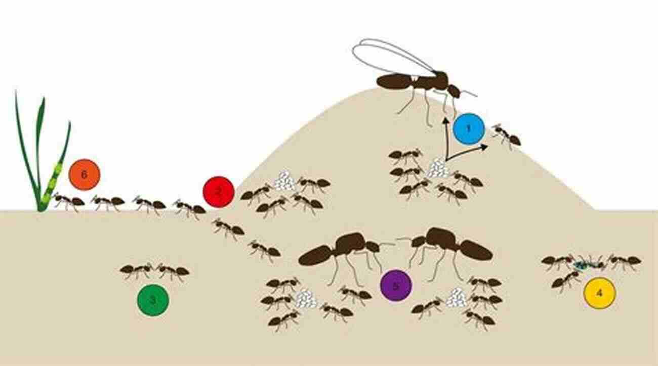 Illustration Of Ant Society Depicting Division Of Labor Bramble Bees And Others Jean Henri Fabre