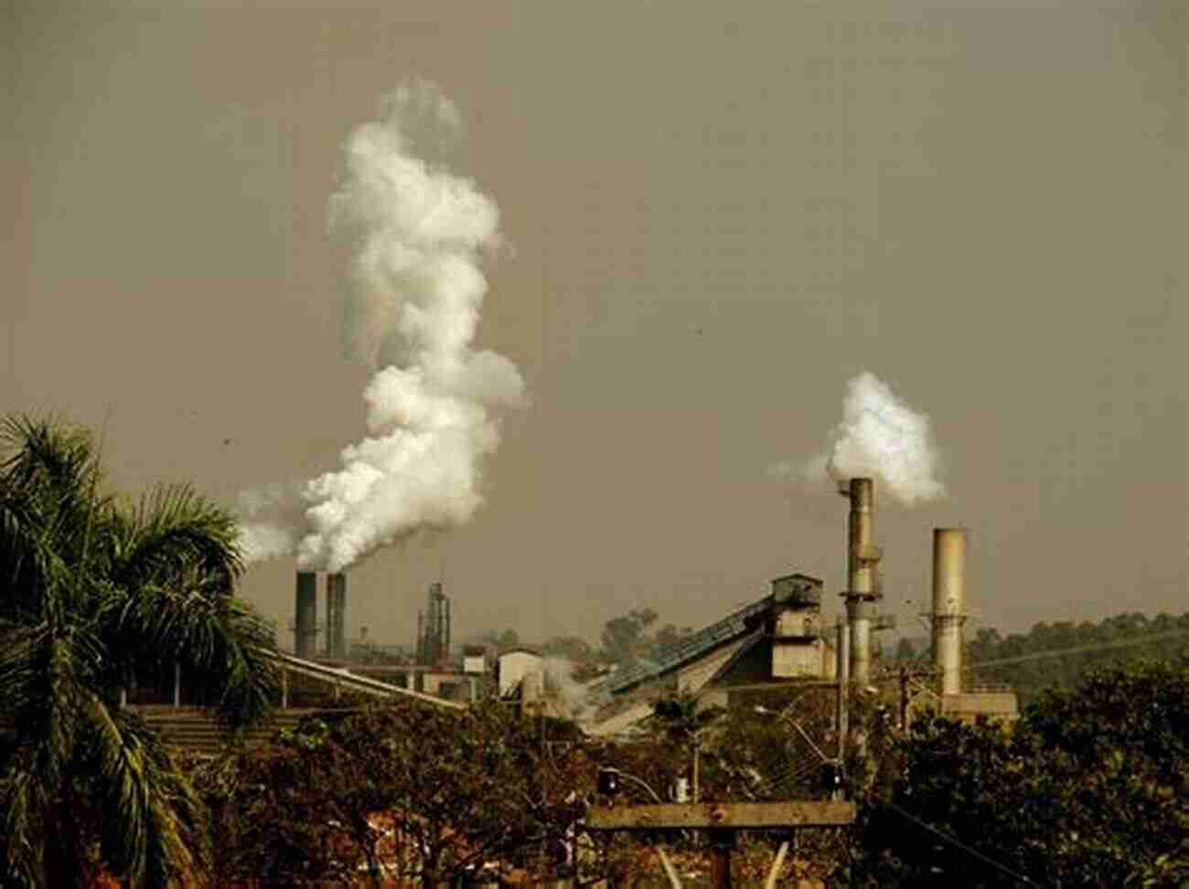 Industrialization Issues In Our Environment: How Are We Killing The Planet We Call Home?