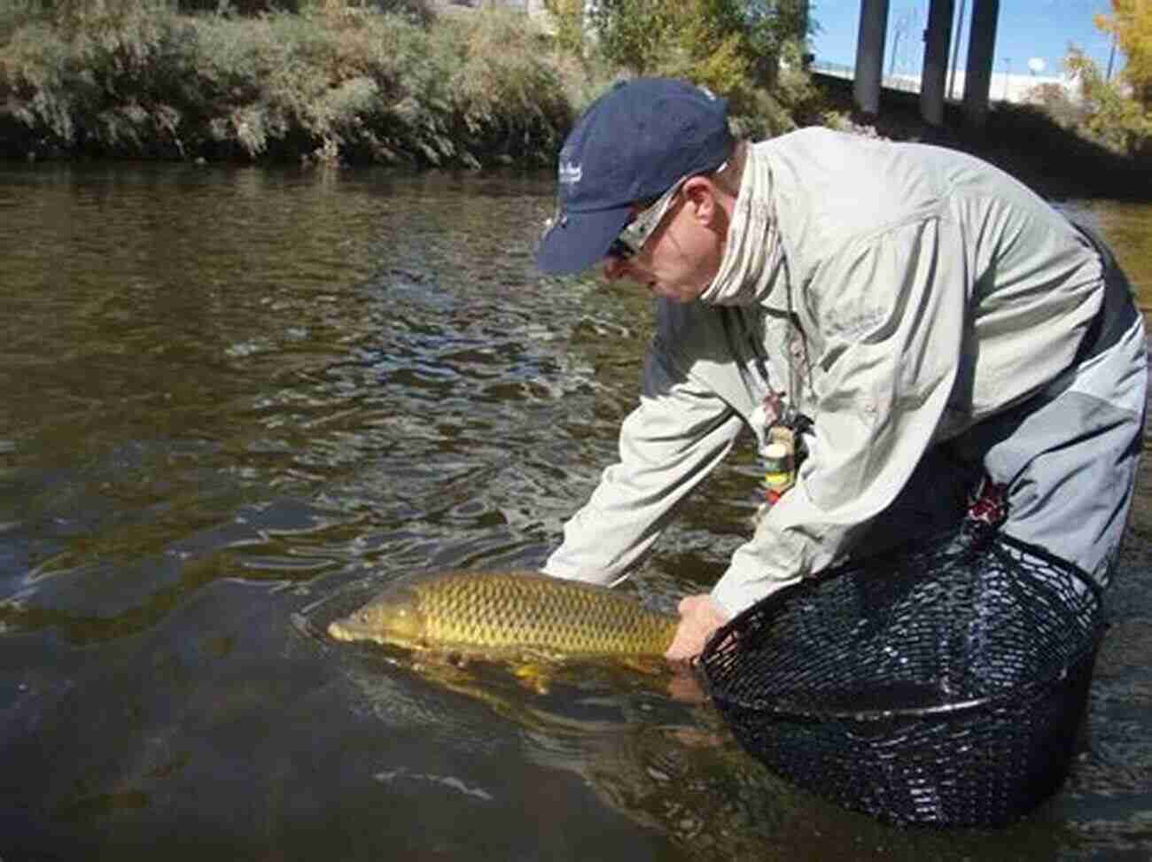 Intelligent Flyfisher In The South Platte Watershed Front Range Trout: Trout Fishing In The South Platte Watershed (Intelligent Flyfisher 1)