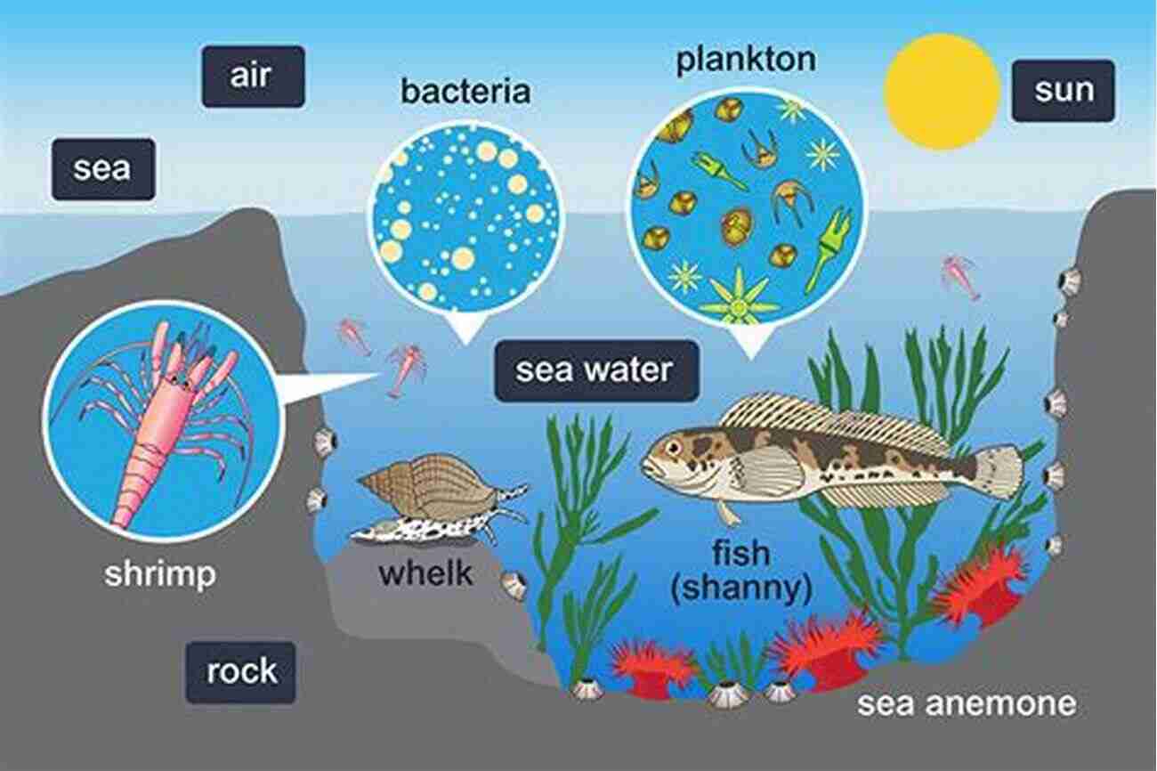 Interactions With Marine Ecosystem The Biology Of Sea Turtles Volume II (CRC Marine Biology Series)